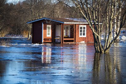 Kevään tulvahuippu Pyhä-, Siika- ja Pattijoessa ajoittunee huhti-toukokuun vaihteeseen – tulvista voi tulla keskimääräistä suuremmat