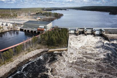 Kemijoki oy alkaa kehittää vaelluskalojen nousuyhteyksiä Perämereltä Ounasjoelle – "On aika kääntää katse seuraaville voimalaitoksille"