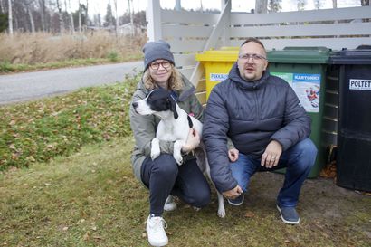 Ginin haukunta pelasti kylmettyneen miehen Keminmaassa – Laura ja Antti Vallan pointteri Gin sai Kennelliiton Sankarikoiran arvon