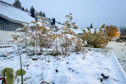Ensilumi satoi Puolangalla – Myös Koillismaalla satoi hajanaisesti lunta, mutta virallinen mittaus näytti nollaa