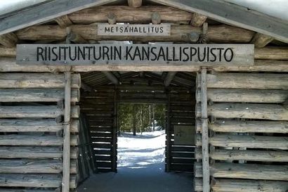 Koillismaan kansallispuistoissa ennätykset uusiksi – Riisitunturille kavuttiin vuoden alusta heinäkuun loppuun mennessä 46 000 kertaa