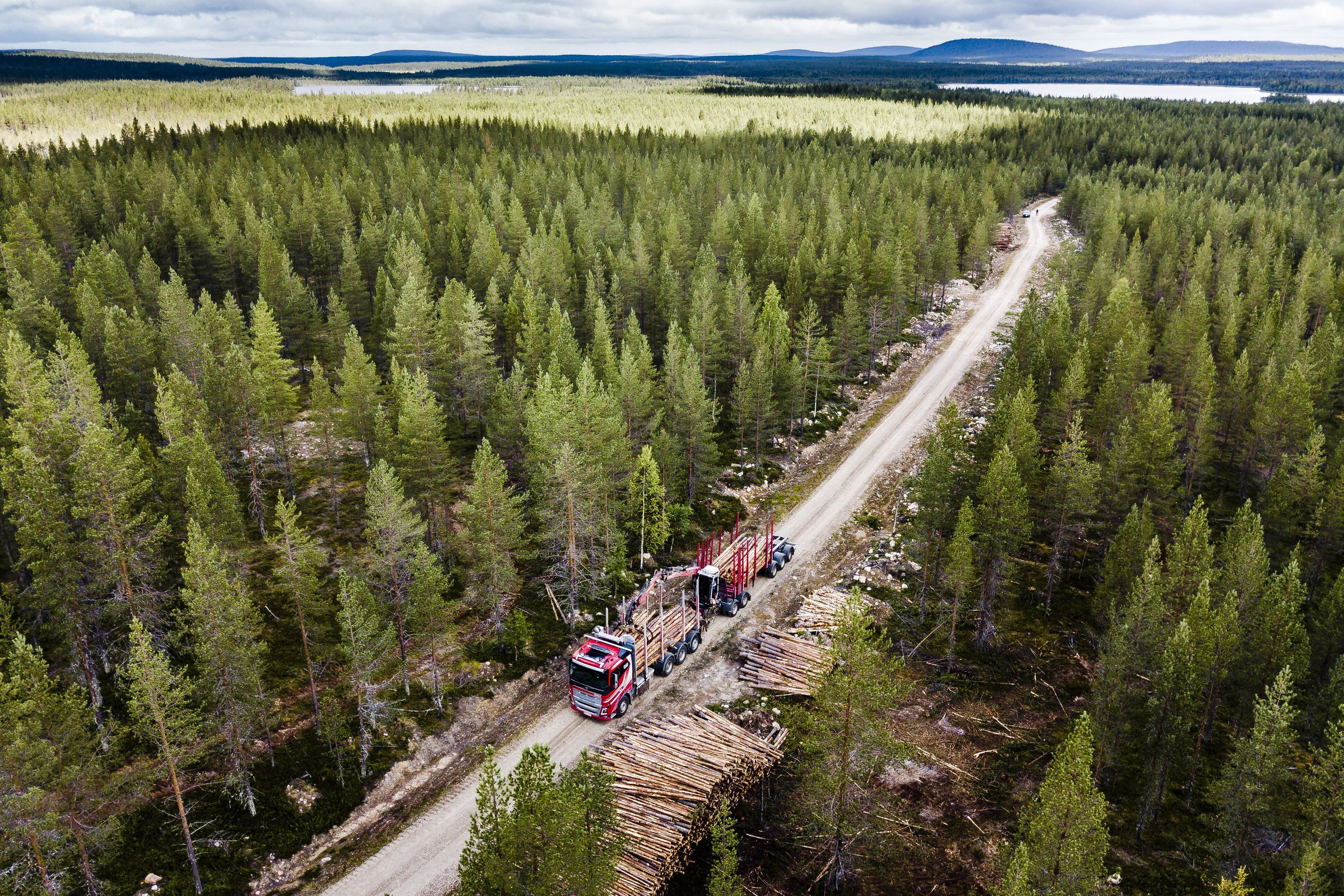 Metsät osaksi EU:n hiililaskentaa – Suomen mepit kritisoivat esitystä |  Kaleva