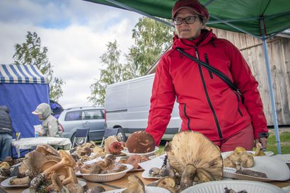 Ahvenmarkkinoilla kävi taas tuttu kuhina – "Ensi vuonna uudestaan", sanoi kyläpäällikkö