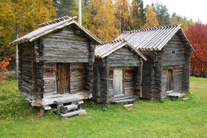 Museovirasto avustaa Kuusamon kaupunkia kotiseutumuseoalueen kunnostuksen suunnittelussa ja tallipuojin kohentamisessa – Taivalkosken museolla kohotetaan aittoja