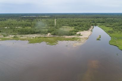 Olkijoen ja Siniluodon rannoilla ei kannata nyt uida – katso video Olkijokisuun rannalta!