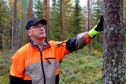 Tyrnävältä ja Limingastakin paljon metsää hankkinut palkittu metsänhoitaja Kullervo Kanniainen: "Me emme tuhoa, emmekä hävitä"