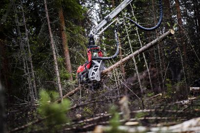 Pölkky Oy otti käyttöön ainutlaatuisen metsätietojärjestelmän – "Etämetsänomistajien kanssa kaupankäynti voidaan hoitaa nyt myös täysin sähköisesti"