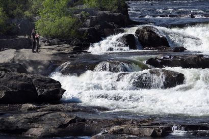 "Se oli ihan kuollut joki", toteaa kalastaja – Tutkijat varoittavat myös Inarin Näätämöjoen lohen loppumisesta