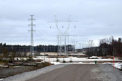 Lintilä HS:lle: Ministeriö valmistelee maanantaiksi esityksen sähkölaskujen pienentämiseksi – kokoomusedustajat hakevat mallia Virosta