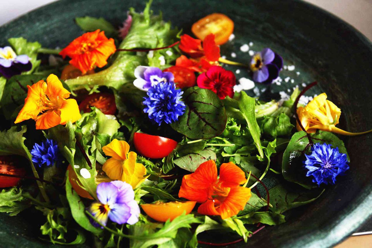 Koristele kesän ruoka syötävillä kukkasilla | Raahen Seutu