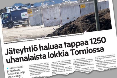 Jäteyhtiö ei saanut lupaa tappaa 1250 uhanalaista lokkia Torniossa