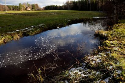 Tulvavaroitus! Pattijokisten pitäisi varautua: Pattijoen kesäinen suurtulva uhkaa uusiutua ensi viikolla