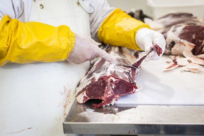 Suomessa syötiin viime vuonna aiempaa vähemmän sian- ja naudanlihaa – kalaa ja kananmunia kulutetaan entiseen malliin