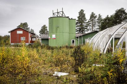 Ränsistyneen entisen Vesterlundin puutarhamyymälän tontti Rovaniemellä saa uuden elämän – "Ideoita otetaan vastaan"