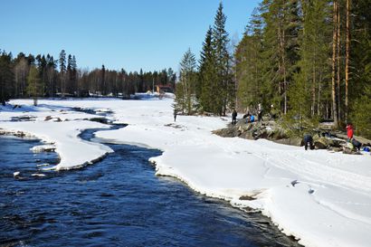 Koitelia ja Letonniemeä halutaan kehittää – Oulun retkikohteiden hoitosuunnitelma päivitetään, osasta kohteista luovutaan