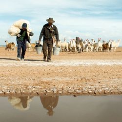 Elokuva-arvio: Kuivuus uhkaa Bolivian ylängöllä asuvan yhteisön elämää dokumenttia muistuttavassa draamassa