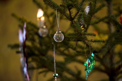Suomen Metsäyhdistys: Joulukuusessa on keskimäärin 60 oksaa ja neulasilla peittäisi makuuhuoneen lattian