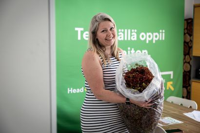 Kihokista maksetaan kerääjälle nyt 48 euroa kilolta, enemmänkin – Lihansyöjäkasvia otetaan nyt ensimmäistä kertaa vastaan Oulussa