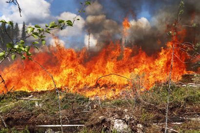 Inarissa roihunnut metsäpalo saatu hallintaan – "Olisi ollut täysin pitelemättömissä ilman helikoptereita"