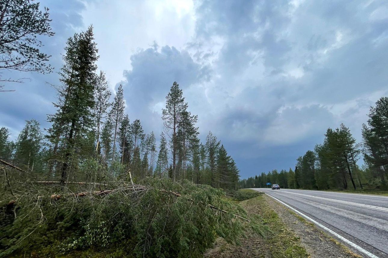 Ukkosmyräkkään liittynyt kova tuuli kaatoi puita teiden varsille Kuusamon pohjoispuolella