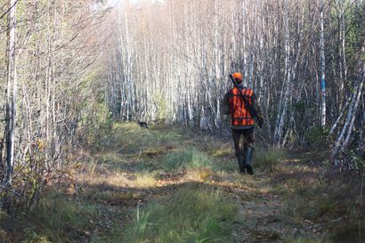 EU-komissio on hyväksymässä metsästyksen suojelualueilla – "Metsästäjillä on keskeinen rooli suojelualueiden hoidossa"