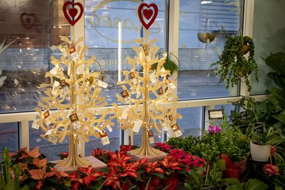 Liminkalaisen kukkakauppa Rosean yrittäjä sai idean joulun kukkapuusta, jonka avulla voi ilahduttaa yksinäistä, vanhusta tai vähävaraista