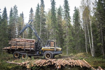Oulun ja Itä-Suomen yliopistot aloittavat metsäbiotalouden opintojen tarjoamisen Kainuussa – "Kilpailukyvyn ylläpitämiseksi myös olemassa olevan henkilöstön osaamista on kehitettävä"