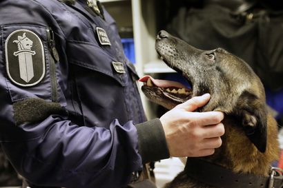 Oulun poliisilaitoksella pitkän uran tehnyt Horkka-koira on kuollut – poikkeuksellisen hyvä poliisikoira kulki saman partion mukana kymmenen vuotta