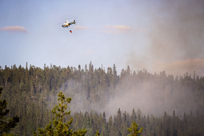 Perjantain sateet eivät poista metsäpalojen riskiä Lapissa – risukeittimen ja kertakäyttögrillin käyttö on kielletty metsäpalovaroituksen aikana