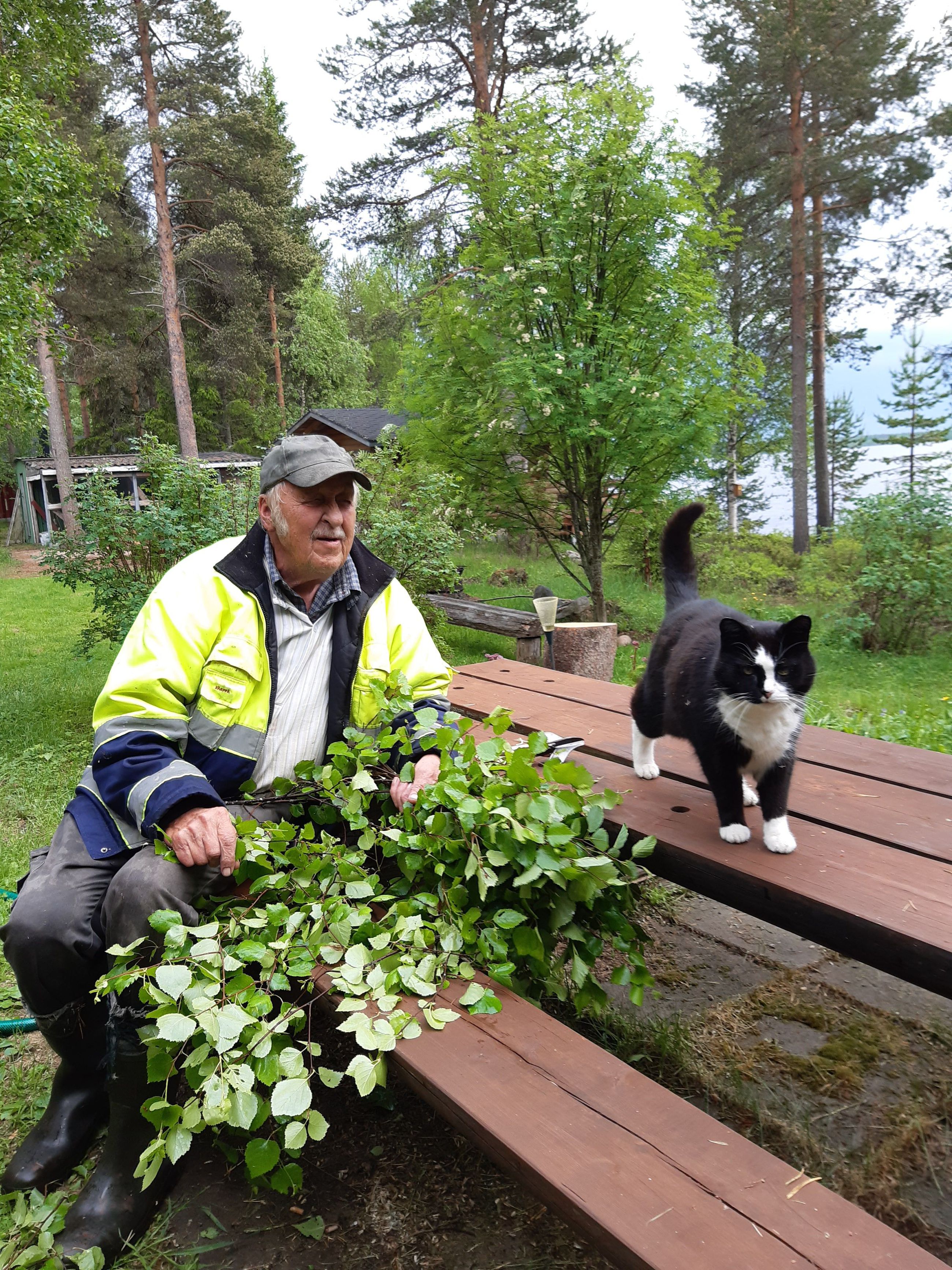 Kissa joka oppi veisaamaan – 