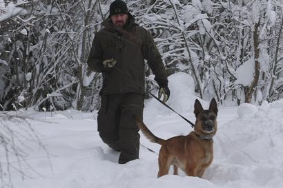 Oululainen koirapoliisi: "Kun koira on motivoitunut, se suoriutuu ihan uskomattomistakin jutuista"