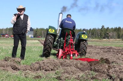 Kyntönäytös Oulaisissa: Kuusi vanhaa traktoria käänsi pellon kauniille kiivuille