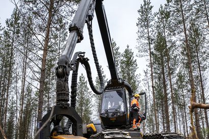 EU haluaa päättää yhä jäsenmaiden metsäpolitiikasta, vaikka se ei kuulu unionin päätösvaltaan – Suomen on pidettävä kiinni oikeuksistaan