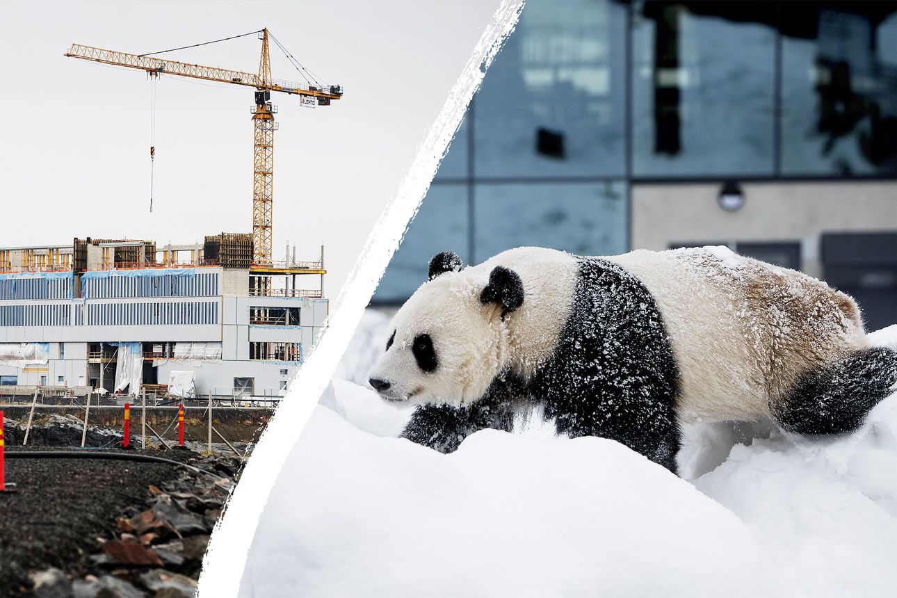 Ei tullut pandoja eikä ydinvoimalaa – Ranualla takavuosien pettymys kääntyi kiitokseksi, Simossa odotellaan uutta jättipottia