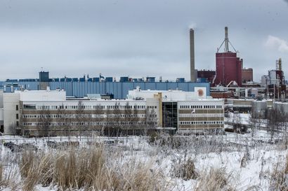 Stora Enson voimakkaat hajut ovat hämmentäneet Oulussa – hajuja on vuotanut sekä piipusta että maan tasalta