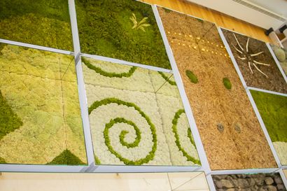 Taiteilija Anni Rapinojan ateljeessa syntyy saamelaismuseo Siidaan taideteos muinaisesta Ruijanpolusta – luonnonmateriaalien pitää kestää seuraavat 20 vuotta