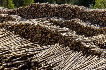 Tuonti Venäjältä Suomeen kasvoi toukokuussa viime vuoteen verrattuna – puutavaraa liikkuu edelleen