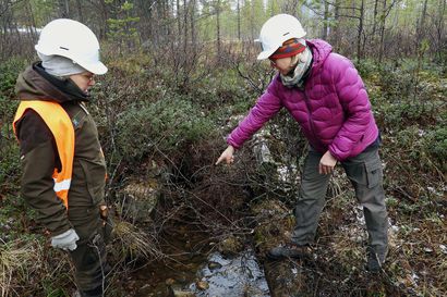 Metsähallitus avaa kaloille väyliä Luton varrella – kaivinkoneen käyttö on tarkkaa työtä, etteivät raakut häiriinny
