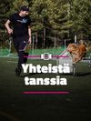 Agilityn SM-kisat saapuvat tänä viikonloppuna Rovaniemelle – paikalliset harrastajat näyttävät, miten ihmisen ja koiran saumaton yhteistyö esteradalla sujuu