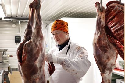 Markus Jaurun leikkaa lihan valmiiksi asiakkaille – suoramyynti kasvaa poronlihakaupassa