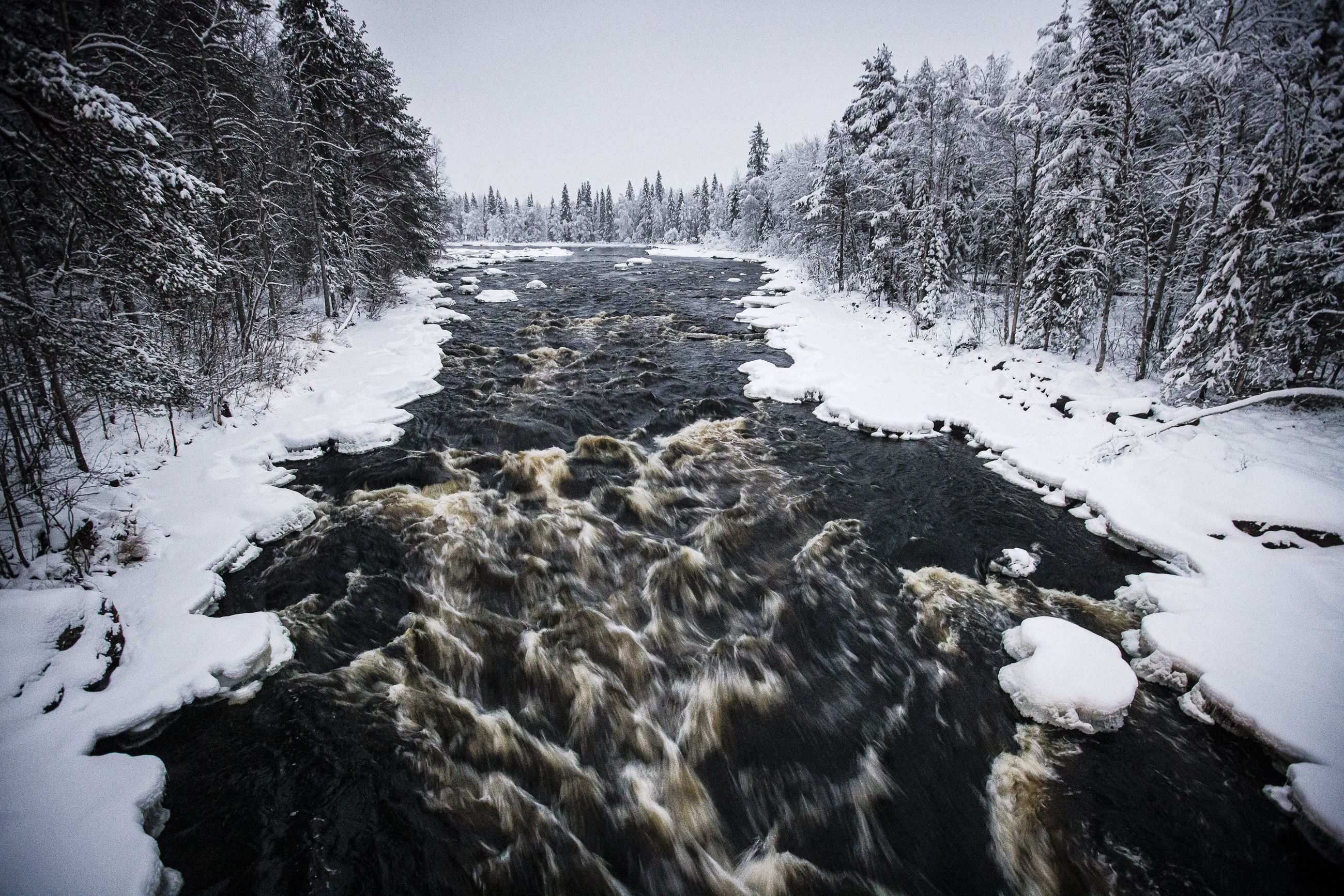 Hallinto-oikeus: aluehallintoviraston päätös rajoittaa metsästystä  virkistys- ja matkailualueilla oli lainmukainen | Lapin Kansa