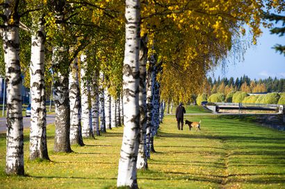 Uusi viikko alkaa vaihtelevassa ja lämpimässä säässä – Oulun seudulla eletään noin 15 asteen päivälämpötiloissa