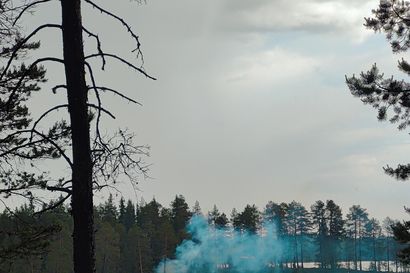 Salama sytytti maaston palamaan Oivankijärven rannalla