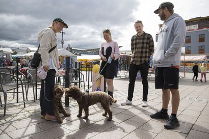 Laki, josta juuri kukaan ei välitä – koirat ovat Oulun torille tervetulleita, vaikka järjestyslaki kieltää karvakaverit yksiselitteisesti
