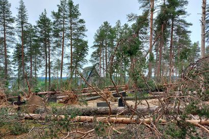 Piispa Jukka Keskitalo: myrskyt kaatoivat  puita ja aiheuttivat mittavia vahinkoja. Oulussa henkilövahingoiltakaan ei vältytty – Taivalkosken hautausmaalla tilanne paha ja omaisilta toivotaan kärsivällisyyttä