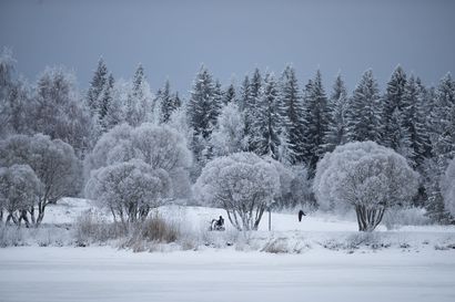 Mikä on polaaripyörre, joka tuo Suomeen kovia pakkasia aina muutaman vuoden välein?