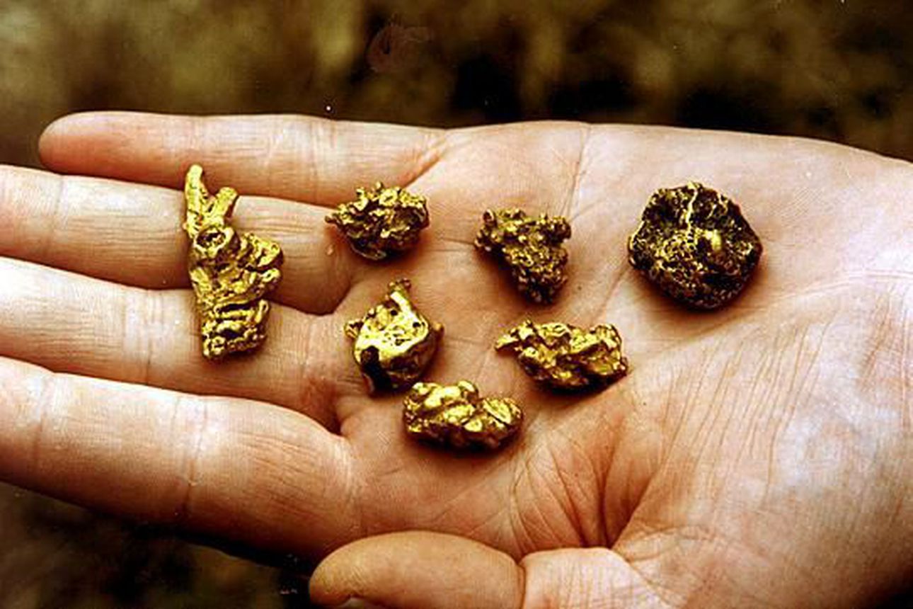 Lemmenjoelta löytyi korumaisen kaunis kultahippu | Kaleva