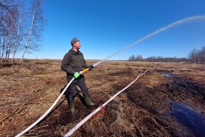 Metsähallitus kulottaa ruovikkoa Natura-alueella Raahessa – Tavoitteena auttaa uhanalaista linnustoa pesimään