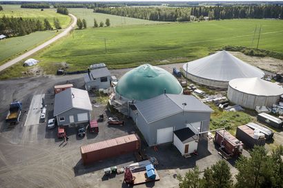 Nivalaan suunnitellaan Suomen suurinta biokaasulaitosta – Wega järjestää keskustelutilaisuuden hankkeesta