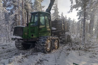 Lauhtuvat talvet vaikeuttavat puunkorjuuta: "Kerran vaurioitunut ajoura ei kestä metsäkoneen painoa seuraavassakaan hakkuussa"